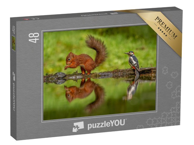 Puzzle 48 Teile „Rotes Eichhörnchen und ein Buntspecht“