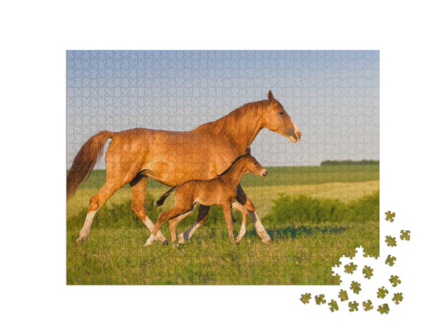 Puzzle 1000 Teile „Stute mit Hengstfohlen im Sonnenaufgang“
