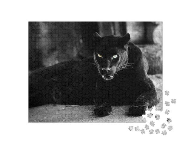 Puzzle 1000 Teile „Schöner schwarzer Panther “