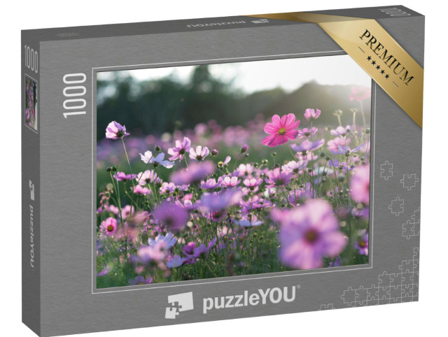 Puzzle 1000 Teile „Ein Feld von Kosmeen, Schmuckkörbchen“