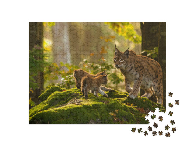 Puzzle 1000 Teile „Junge Luchse“
