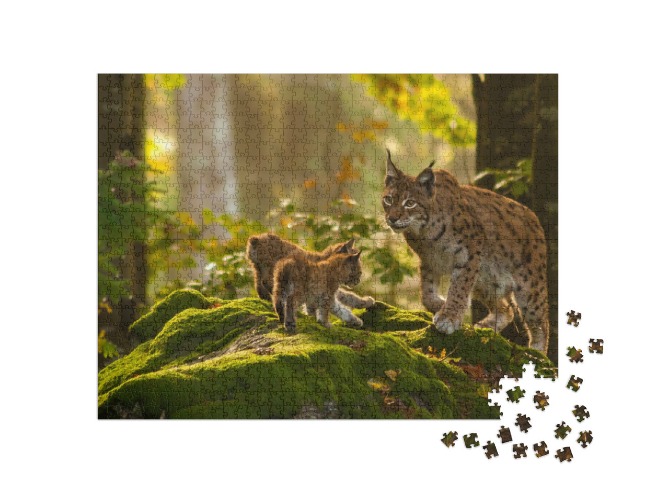 Puzzle 1000 Teile „Junge Luchse“
