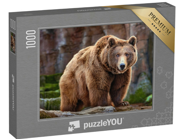 Puzzle 1000 Teile „Ein großer Braunbär“