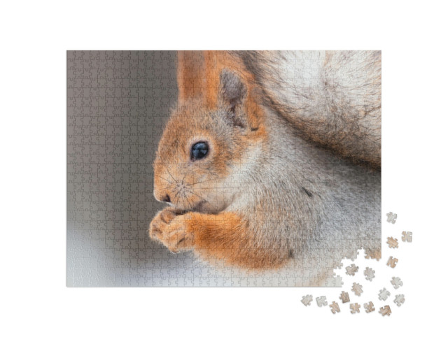 Puzzle 1000 Teile „Eichhörnchen mit Nüssen“