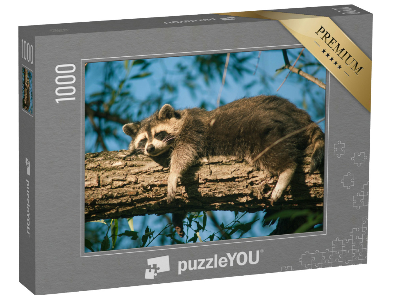 Puzzle 1000 Teile „Erschöpfter Waschbär macht ein Mittagsschläfchen“