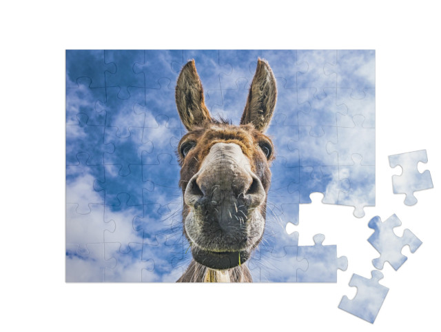 Puzzle 48 Teile „Esel in Nahaufnahme“