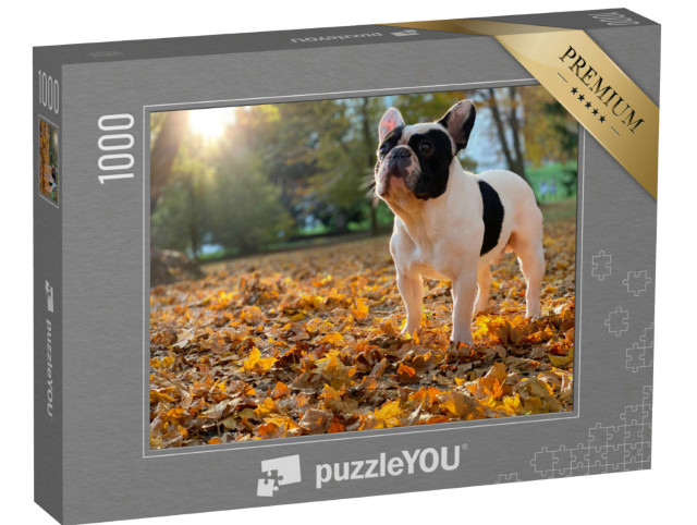 Puzzle 1000 Teile „Eine Französische Bulldogge sitzt“