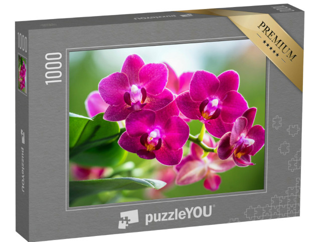 Puzzle 1000 Teile „Das strahlende Pink einer blühenden Orchidee“