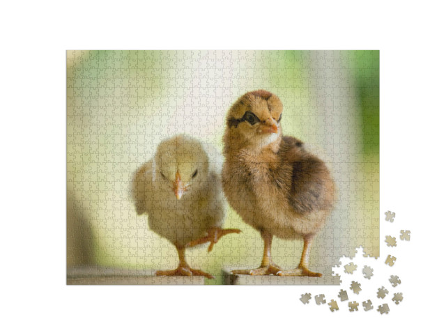 Puzzle 1000 Teile „Zwei süße kleine Küken“