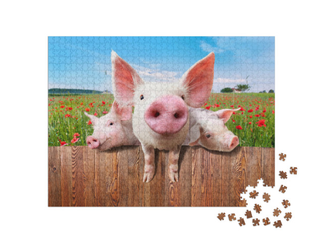 Puzzle 1000 Teile „Junge Schweine auf dem Bauernhof schauen über den Zaun“
