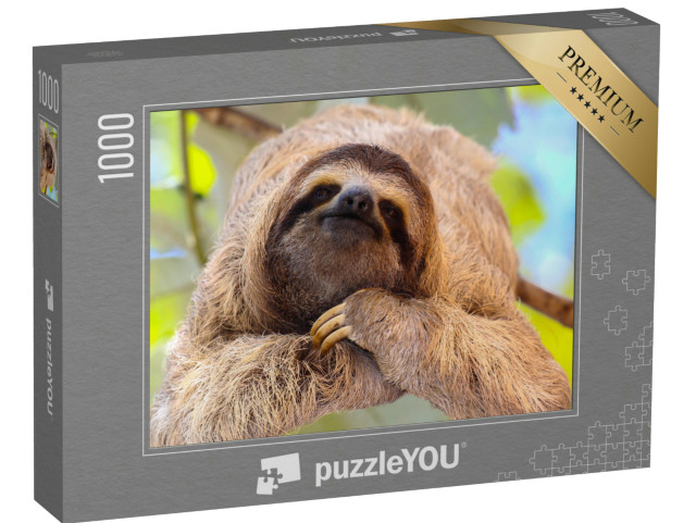 Puzzle 1000 Teile „Zufriedenes Faultier“