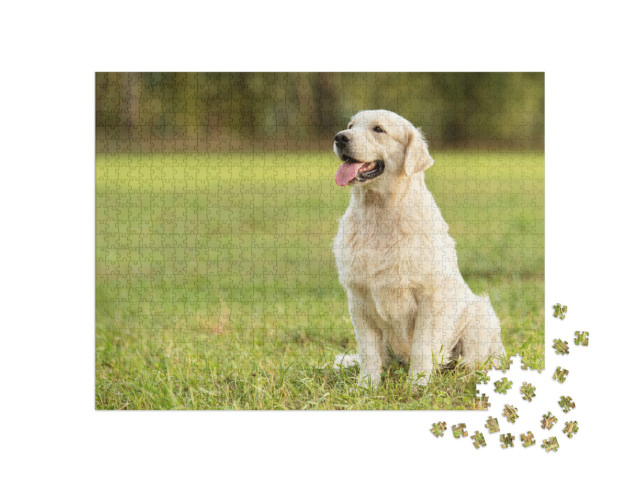 Puzzle 1000 Teile „Golden Retriever im Park“