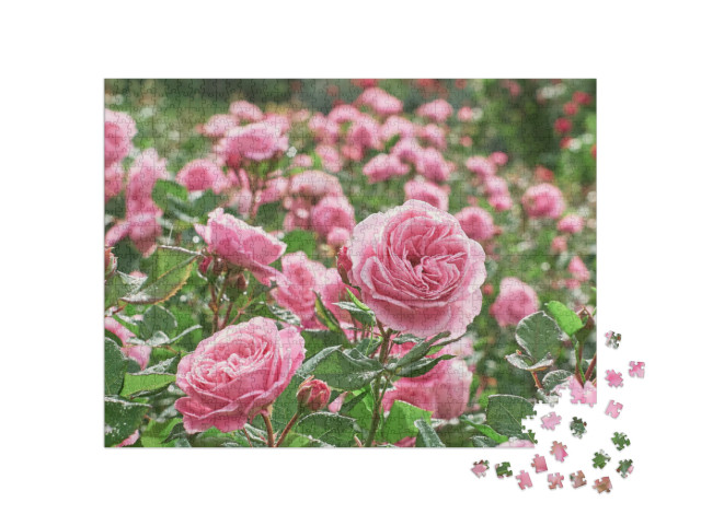 Puzzle 1000 Teile „Ein Meer von rosa Rosen“