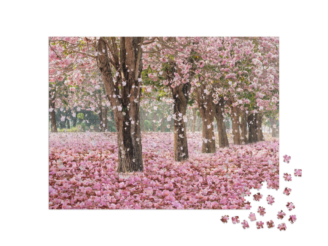 Puzzle 1000 Teile „Rosa Blüten formen einen romantischen Tunnel“
