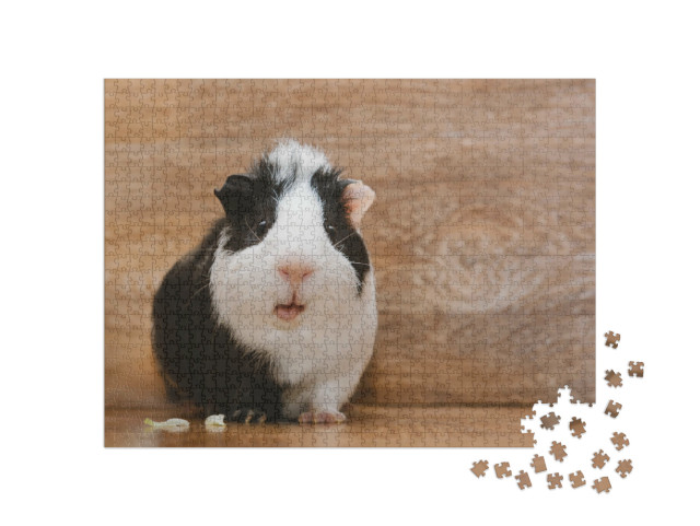 Puzzle 1000 Teile „Niedliches schwarz-weißes Meerschweinchen beim Verzehren von Kohlblättern“