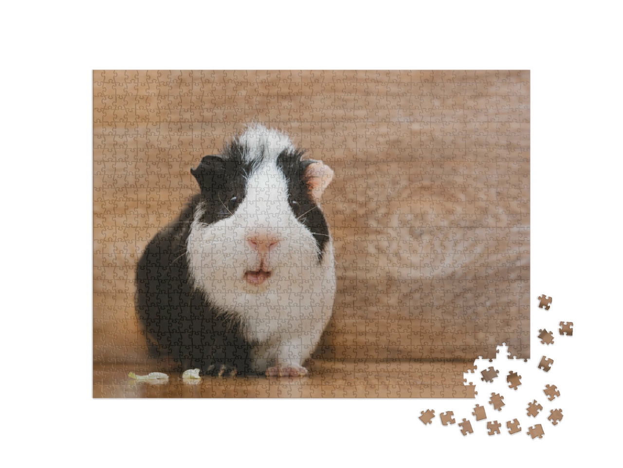 Puzzle 1000 Teile „Niedliches schwarz-weißes Meerschweinchen beim Verzehren von Kohlblättern“