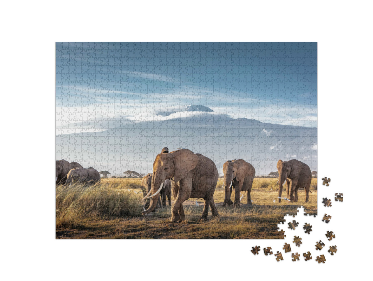 Puzzle 1000 Teile „Herde großer afrikanischer Elefanten spaziert vor dem Kilimandscharo in Kenia“