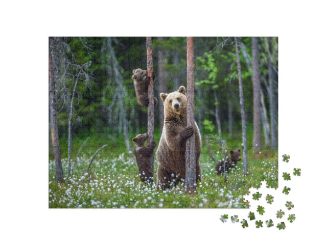 Puzzle 1000 Teile „Bärin und Bärenjunge im Sommerwald“