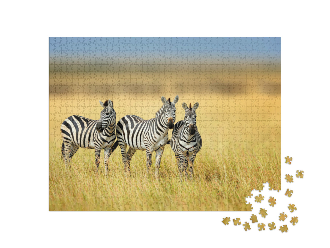 Puzzle 1000 Teile „Drei Zebras im kenianischen National Park“