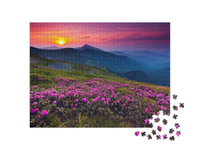 Puzzle 1000 Teile „Rosa Rhododendronblüten über den Bergen“