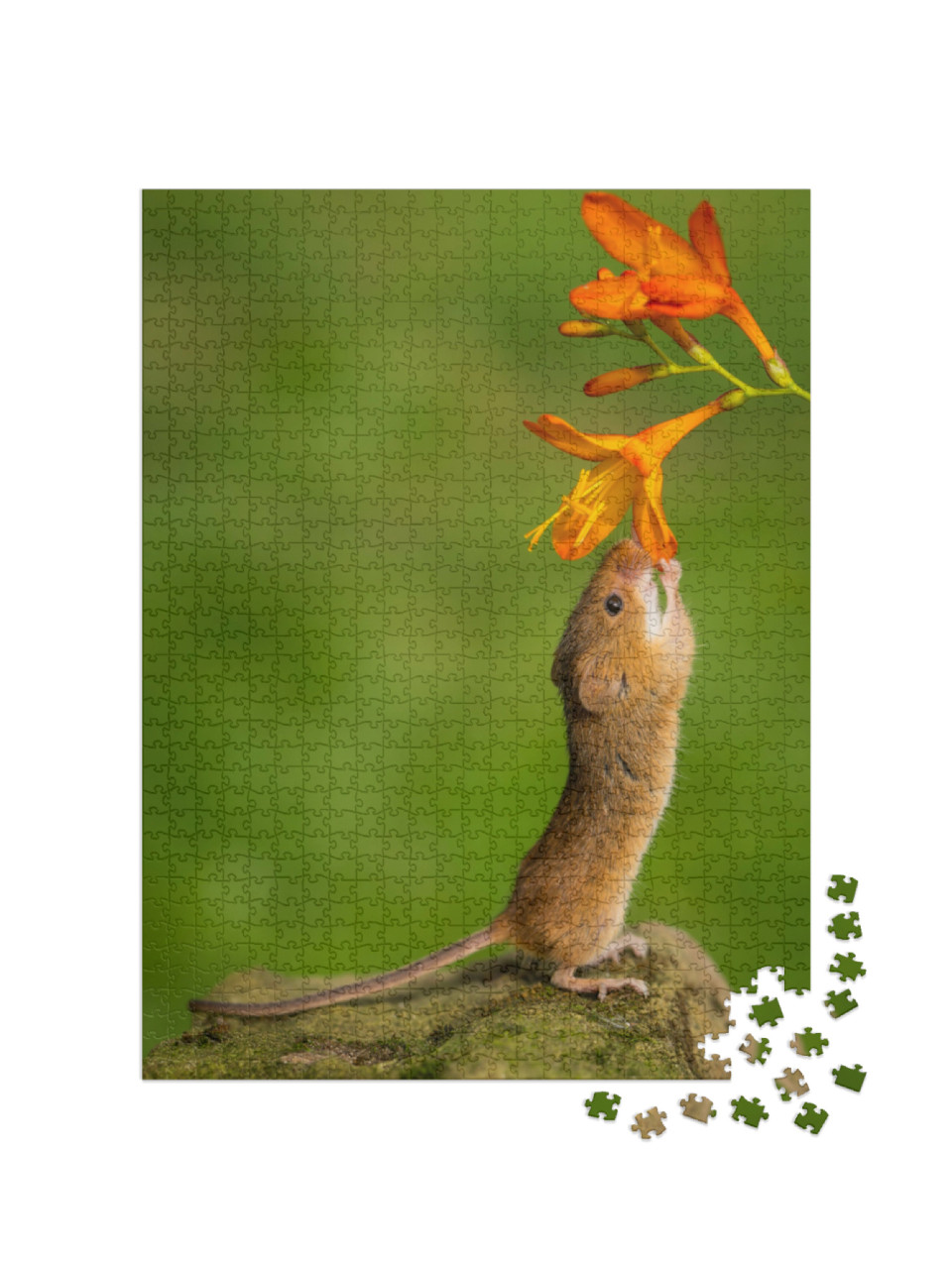 Puzzle 1000 Teile „Kleine Maus mit Blume“