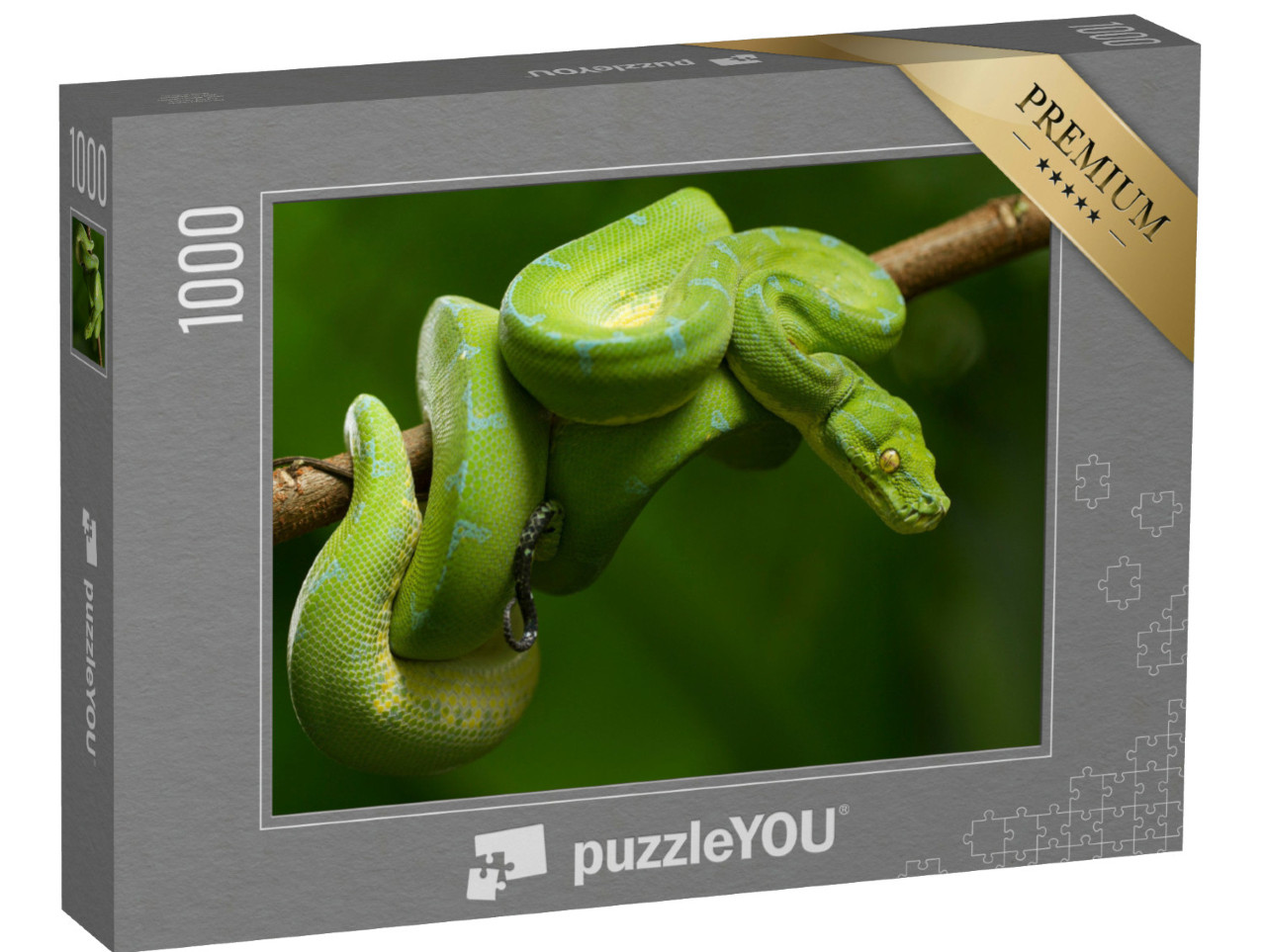 Puzzle 1000 Teile „Baumpython in leuchtendem Grün“