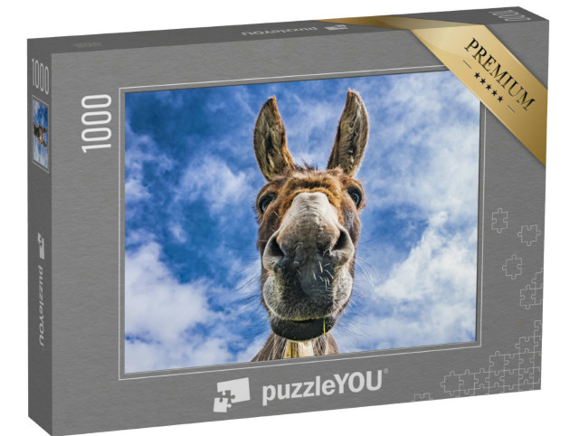 Puzzle 1000 Teile „Esel in Nahaufnahme“
