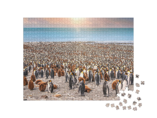 Puzzle 1000 Teile „Königspinguine am Strand von St. Andrew's Bay, South Georgia Island“