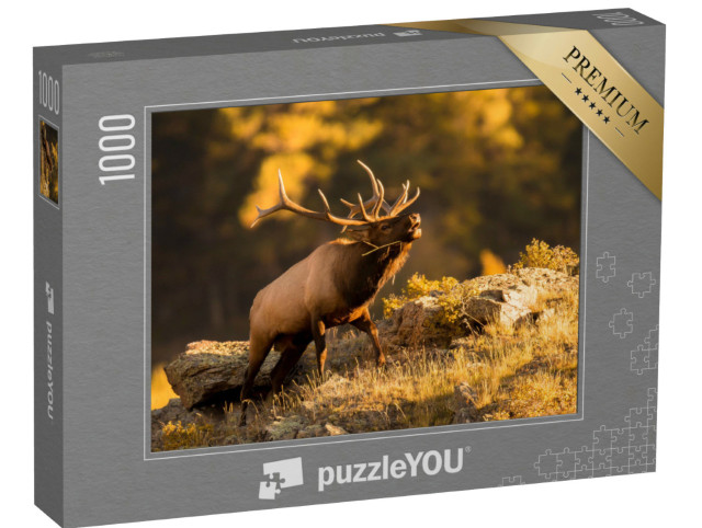 Puzzle 1000 Teile „Ein Elchbulle, der nach seiner Partnerin ruft“