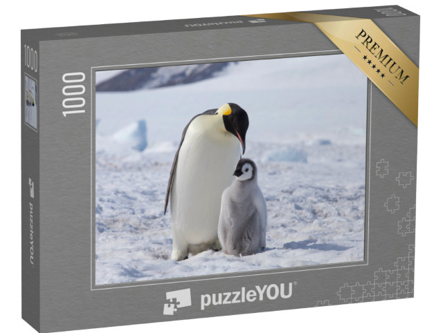 Puzzle 1000 Teile „Ein Kaiserpinguin mit seinem Küken, Antarktis“