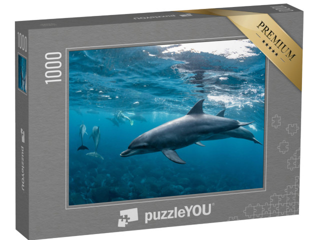 Puzzle 1000 Teile „Delfine auf dem Mikurajima in Tokio, Japan“