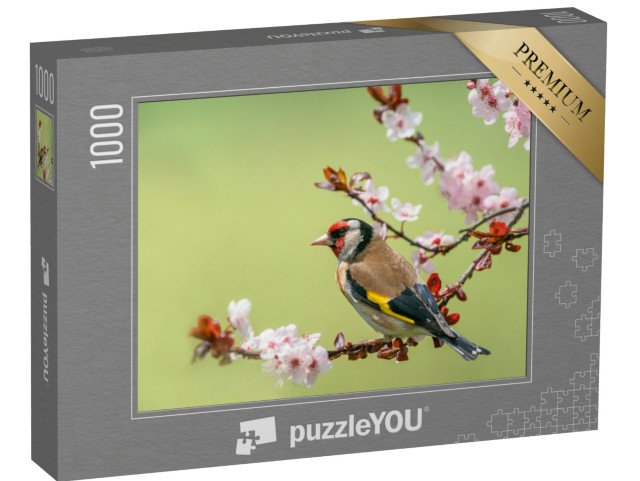 Puzzle 1000 Teile „Bunter Stieglitz auf einem Blütenzweig“