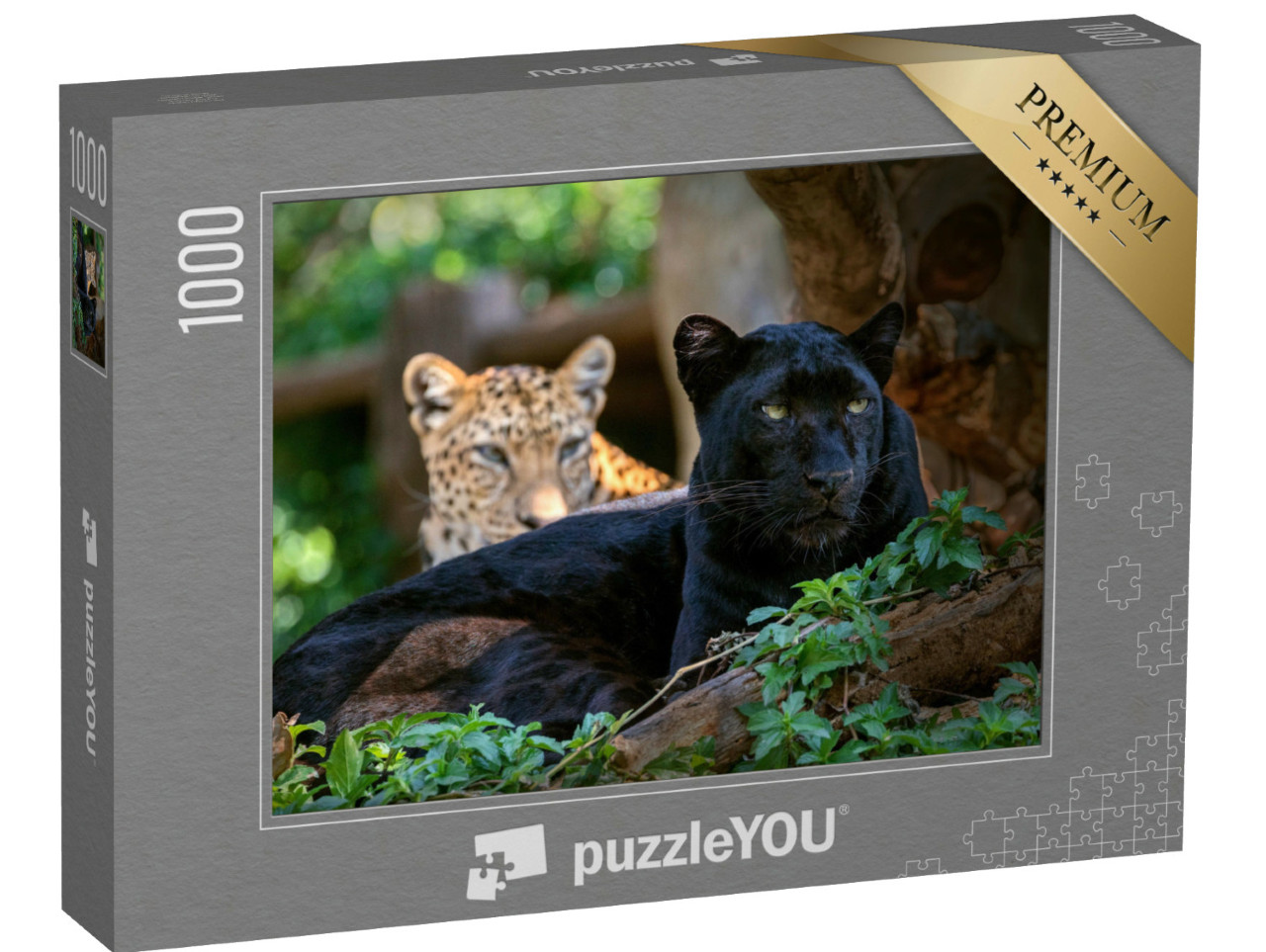 Puzzle 1000 Teile „Leopard oder Panther“