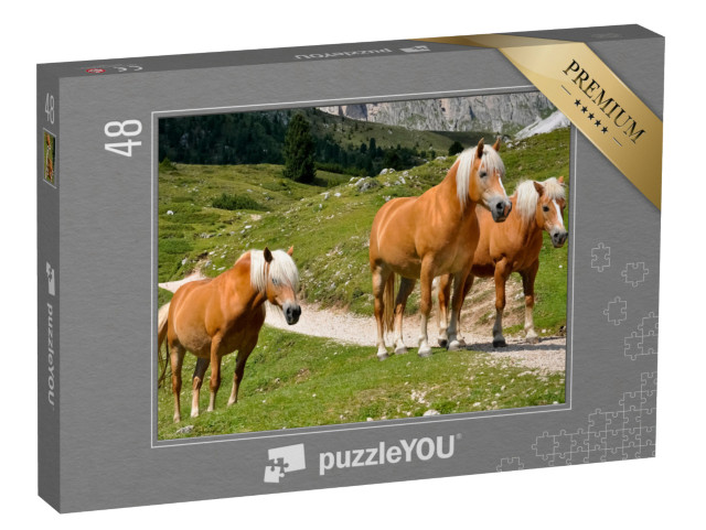 Puzzle 48 Teile „Drei Haflingerpferde auf einer Alm in Südtirol, Italien“
