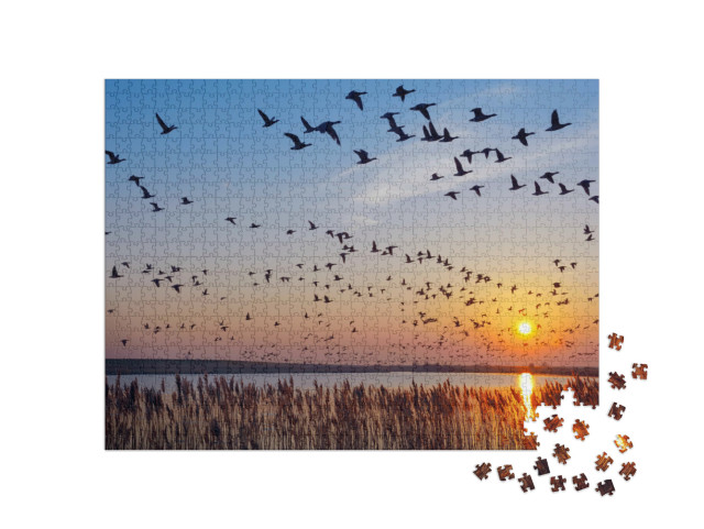 Puzzle 1000 Teile „Gänse über Ostfriesland bei Greetsiel, Deutschland“