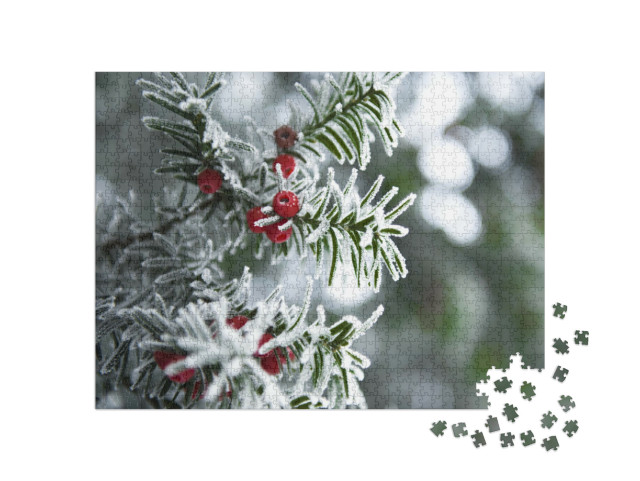 Puzzle 1000 Teile „Winteraufnahme: Schneebedeckte Eibe“