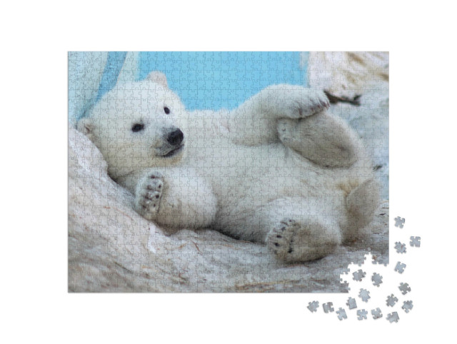 Puzzle 1000 Teile „Ein Eisbärenjunges liegt auf dem Rücken im Schnee“