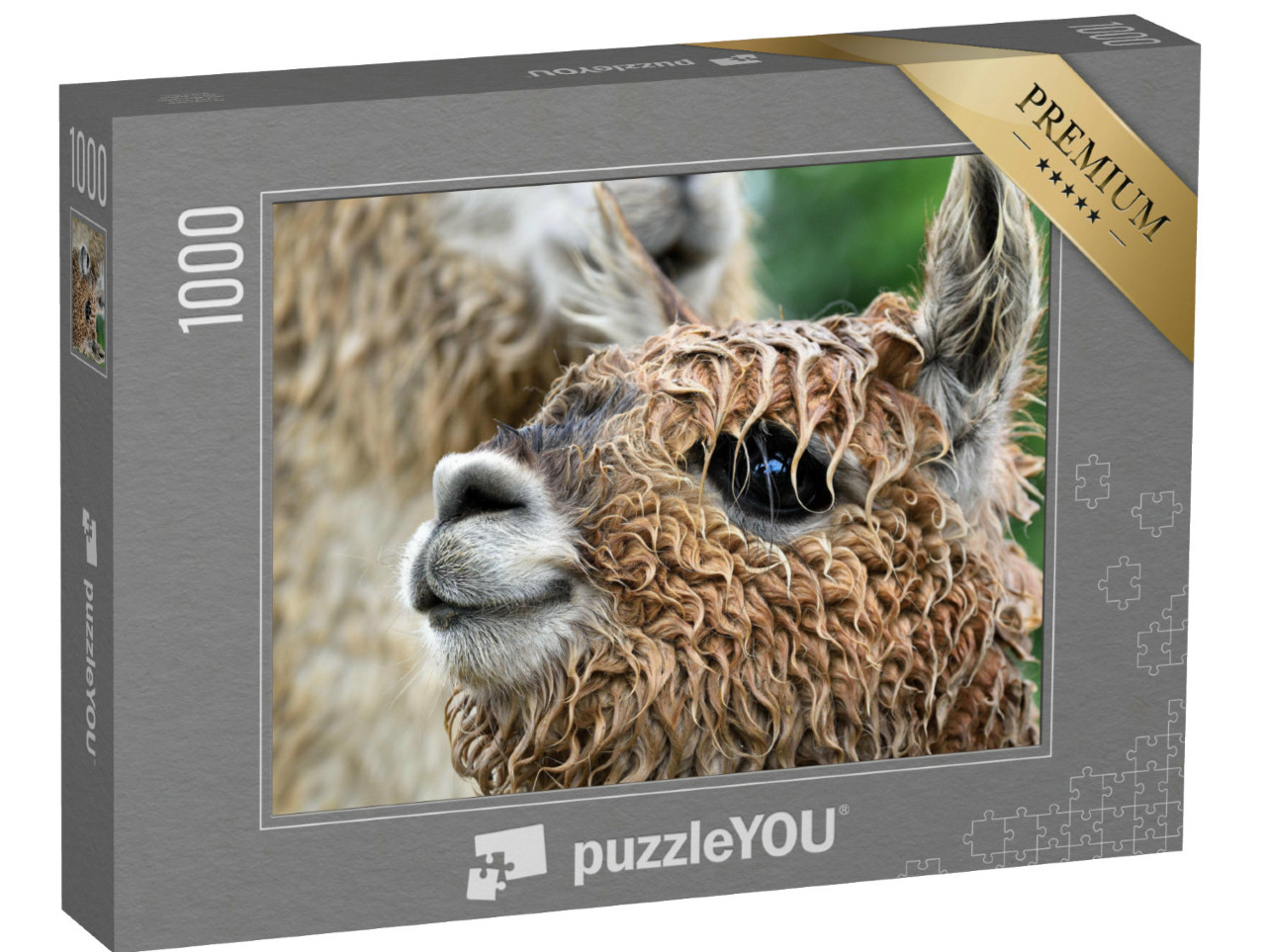 Puzzle 1000 Teile „Nahaufnahme eines Alpakas“