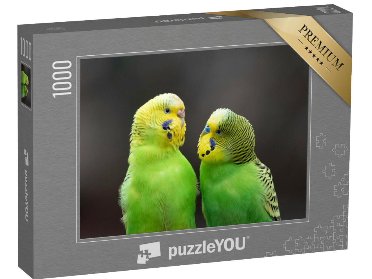 Puzzle 1000 Teile „Porträt grüngelber Wellensittiche“