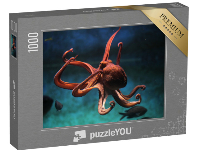 Puzzle 1000 Teile „Gewöhnlicher Oktopus“
