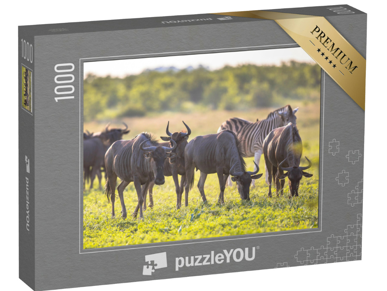 Puzzle 1000 Teile „Gnus beim Grasen im Mooiplaas-Flussbett “