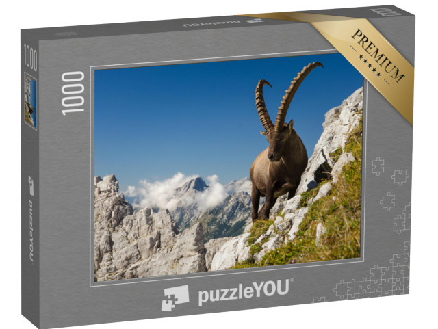 Puzzle 1000 Teile „Der Steinbock, der König der Berge“