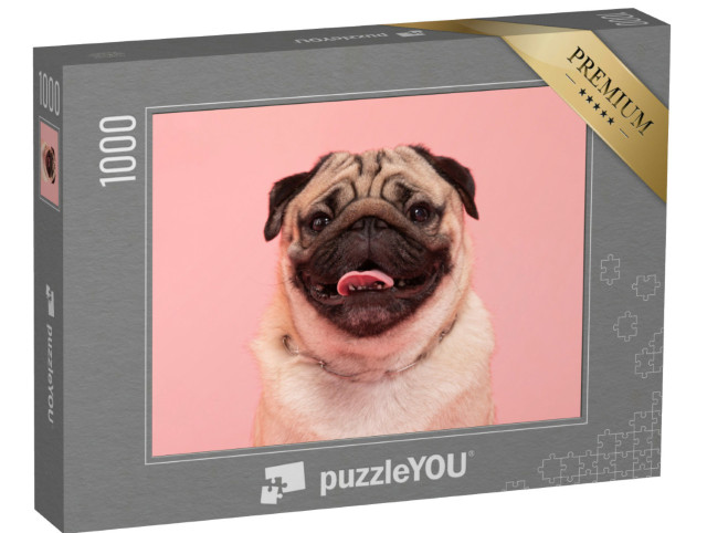 Puzzle 1000 Teile „Ein Mops auf rosa Hintergrund“