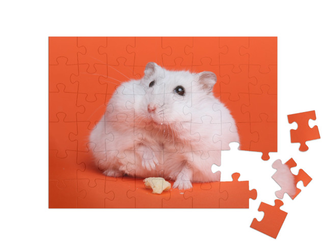 Puzzle 48 Teile „Fluffiger weißer Hamster “