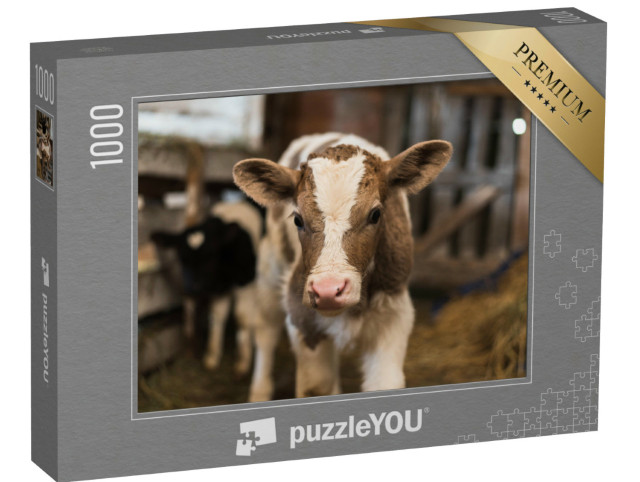 Puzzle 1000 Teile „Niedliches Kalb im gemütlichen Stall“