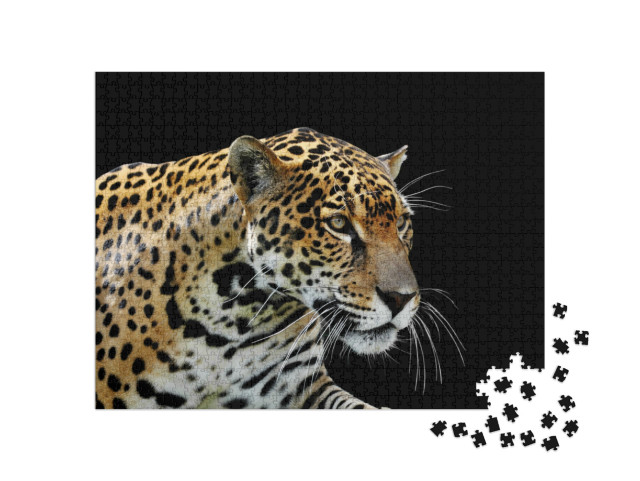 Puzzle 1000 Teile „Schöner Leopard “
