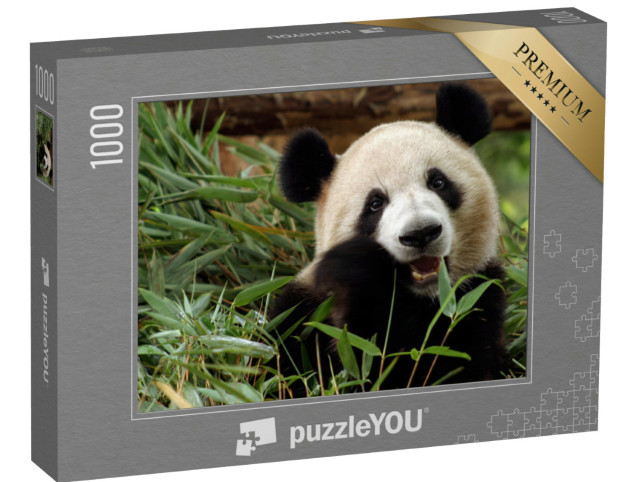 Puzzle 1000 Teile „Großer Panda genießt seine Bambus-Mahlzeit“