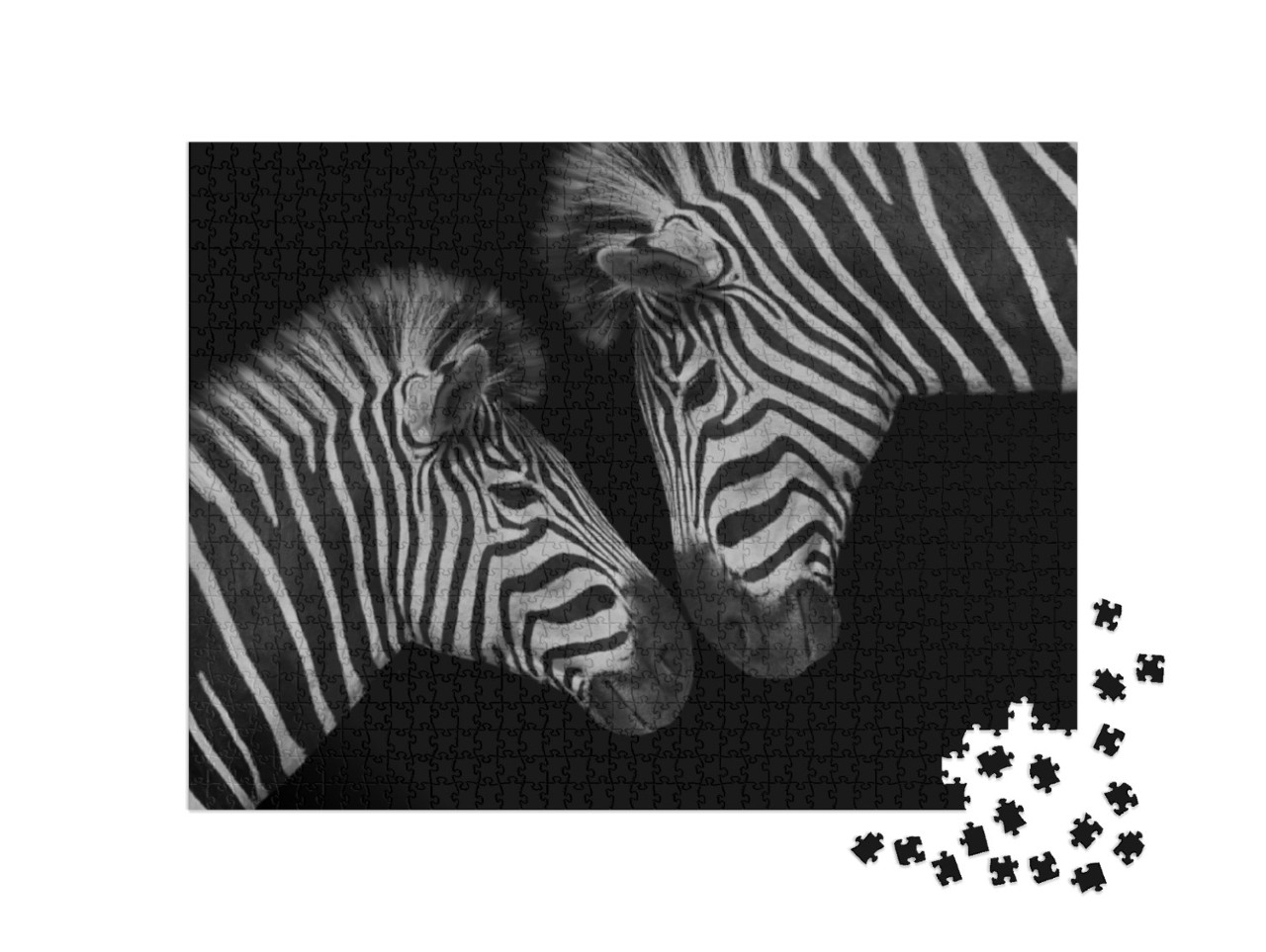 Puzzle 1000 Teile „Zebra-Jungtier und seine Mutter“