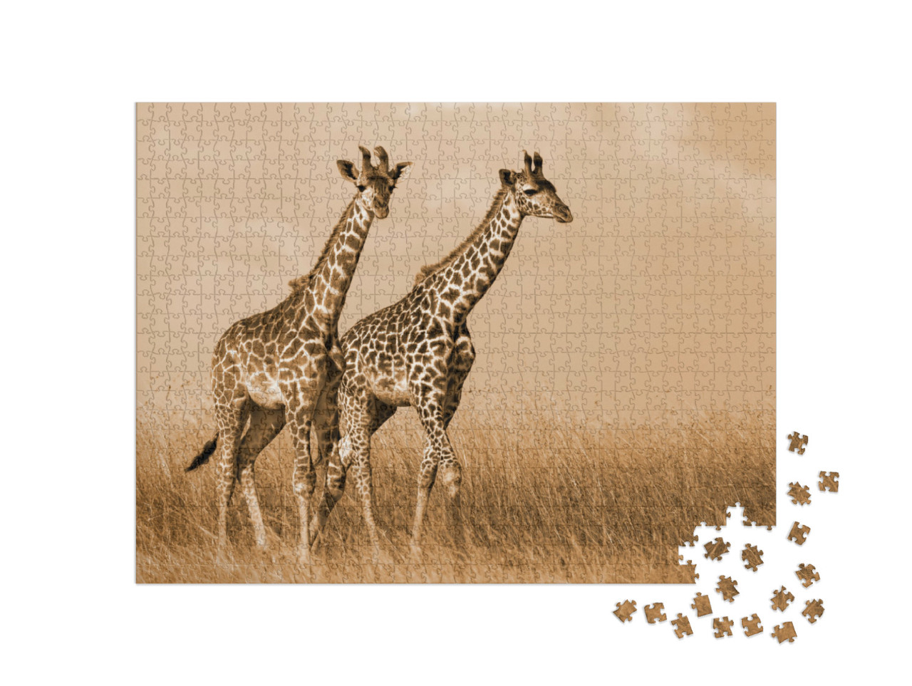 Puzzle 1000 Teile „Giraffenpaar beim Spaziergang“