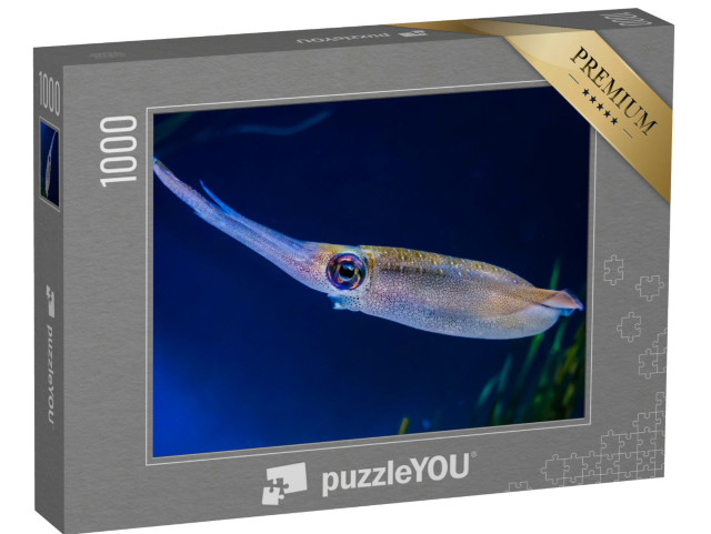 Puzzle 1000 Teile „Großflossen-Riffkalmare in der Tiefsee“